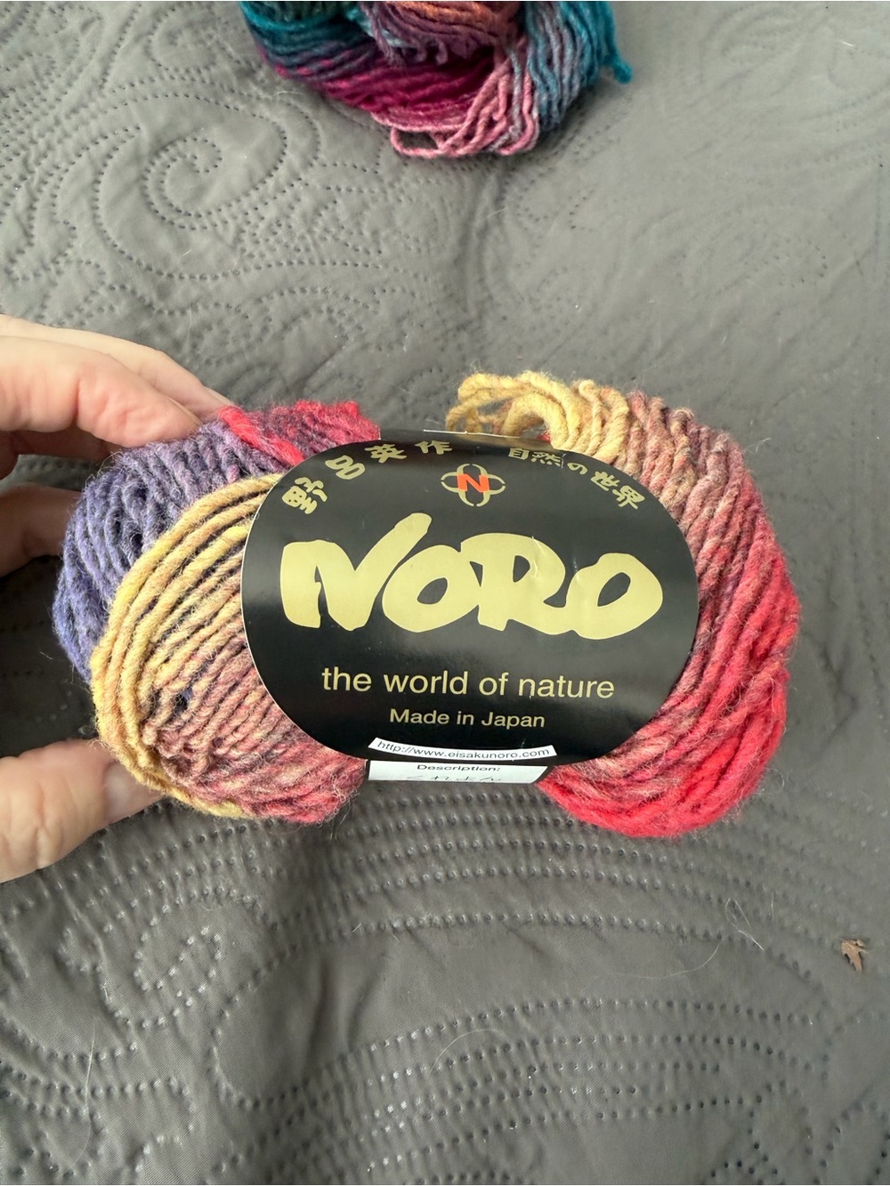 Noro Multicolor Wool Skein in Purple, Pink, Yellow, Red